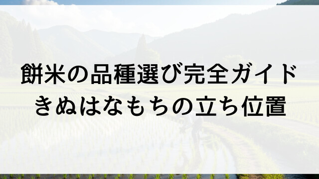 餅米の品種選び完全ガイド！きぬはなもちの立ち位置【栃木県佐野市の米農家直送・直売】