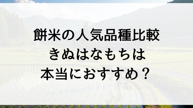 【餅米の人気品種比較】きぬはなもちは本当におすすめ？