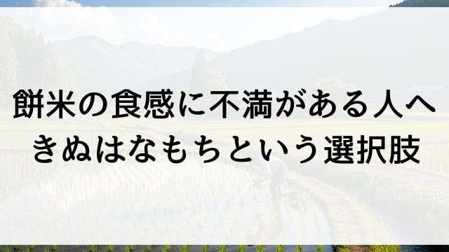 餅米の食感に不満がある人へ！きぬはなもちという選択肢