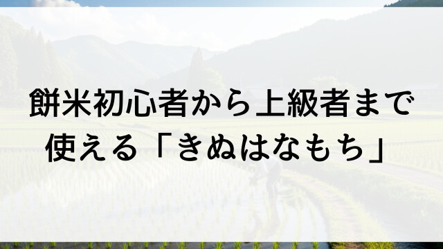 餅米初心者から上級者まで使える「きぬはなもち」【栃木県佐野市産お米通販】