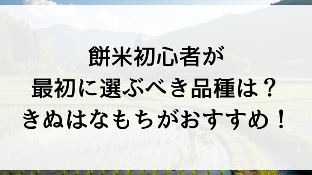 餅米初心者が最初に選ぶべき品種は？きぬはなもちがおすすめ！