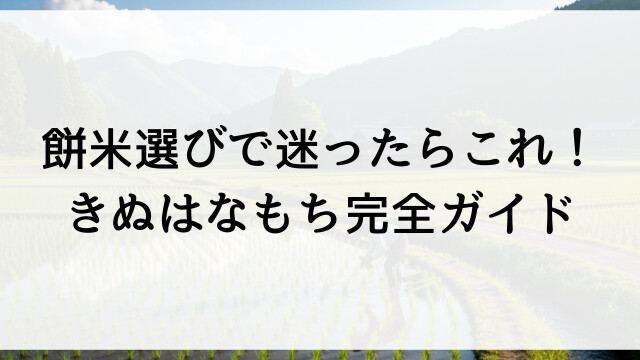 餅米選びで迷ったらこれ！きぬはなもち完全ガイド【栃木県米農家直送販売】