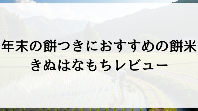 年末の餅つきにおすすめの餅米！きぬはなもちレビュー【栃木県佐野市米農家直送】