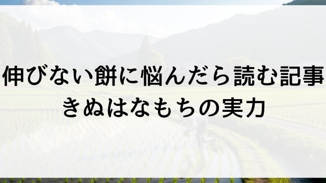 伸びない餅に悩んだら読む記事【きぬはなもちの実力】