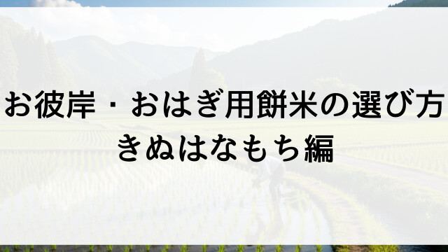 お彼岸・おはぎ用餅米の選び方！きぬはなもち編【栃木県佐野市産お米販売】