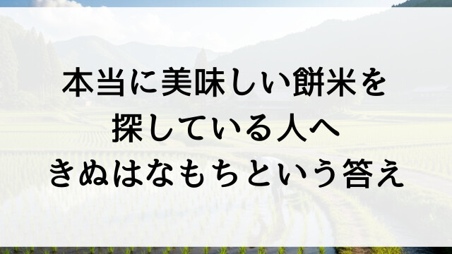 本当に美味しい餅米を探している人へ！きぬはなもちという答え【栃木県佐野市の米農家直送直販】