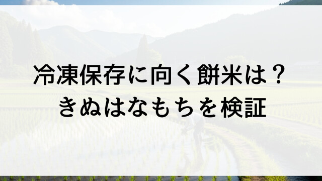 冷凍保存に向く餅米は？きぬはなもちを検証【栃木県佐野市産お米販売】
