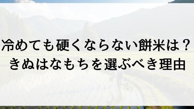冷めても硬くならない餅米は？きぬはなもちを選ぶべき理由