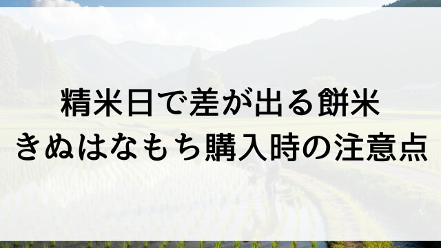 精米日で差が出る餅米！きぬはなもち購入時の注意点【栃木県佐野市の米農家直売】