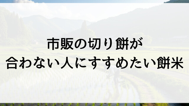 市販の切り餅が合わない人にすすめたい餅米【栃木県佐野市産きぬはなもち直送・直売】