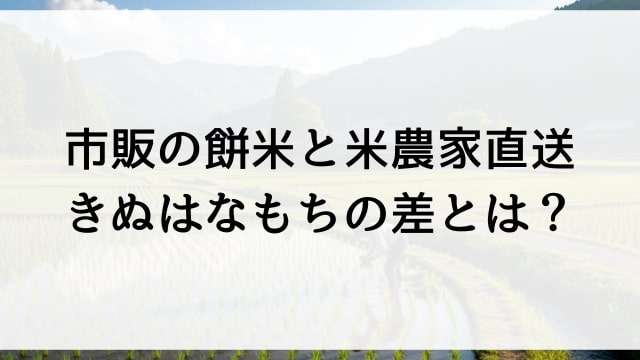 市販の餅米と米農家直送きぬはなもちの差とは？