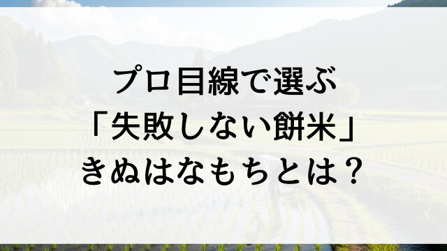 プロ目線で選ぶ「失敗しない餅米」きぬはなもちとは？【栃木県佐野市の米農家直送オンラインショップ】