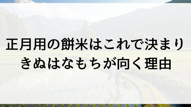 正月用の餅米はこれで決まり！きぬはなもちが向く理由【栃木県佐野市産お米通販】