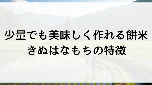 少量でも美味しく作れる餅米！きぬはなもちの特徴【栃木県佐野市の米農家直送】