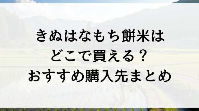 きぬはなもち餅米はどこで買える？おすすめ購入先まとめ