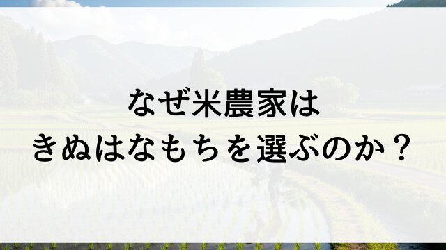 なぜ米農家はきぬはなもちを選ぶのか？【栃木県佐野市産餅米販売】