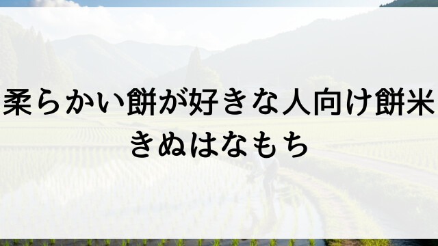 柔らかい餅が好きな人向け餅米！きぬはなもち【佐野市米農家直送】