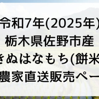 完売終了】令和7年産餅米「きぬはなもち」どこで買える？予約できる